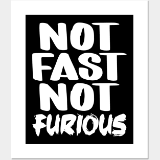 Not Fast Not Furious Posters and Art